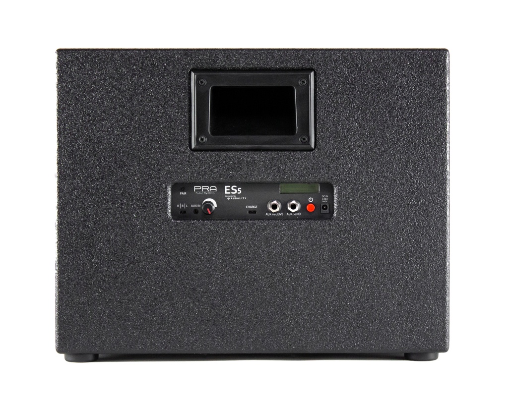 ES5 Wireless PA System